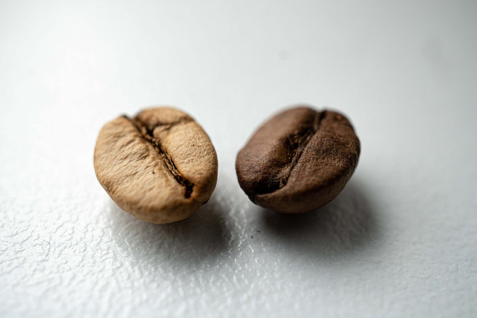 Gourmet vs Premium vs Specialty Coffee: What's The Difference?