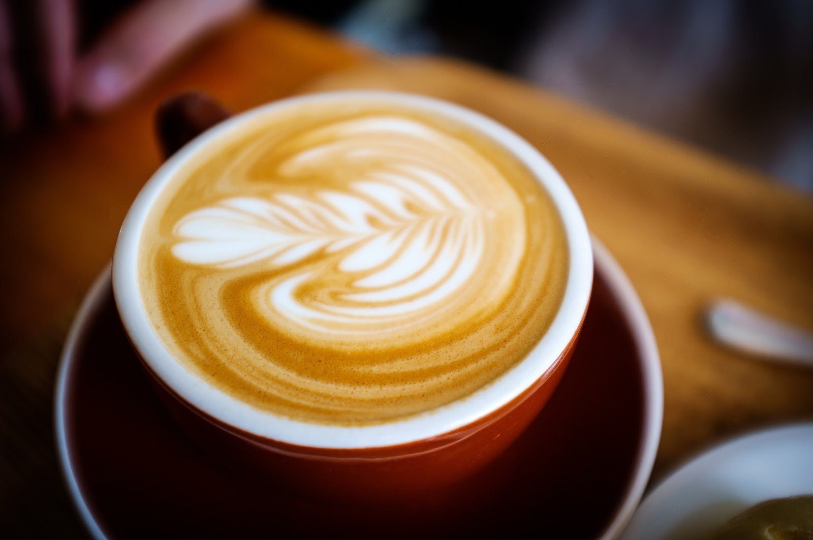 Special coffee discount