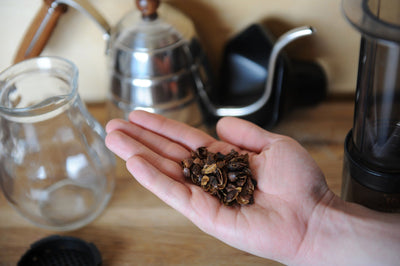 Cascara: How to Enjoy Tea From Coffee Cherries