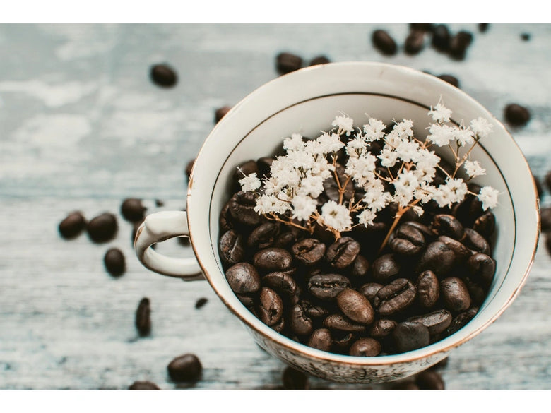 Gardening with coffee grounds leftover