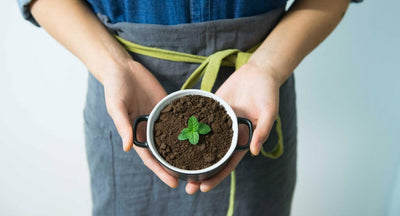 8 Amazing Things To Do With Your Used Coffee Grounds
